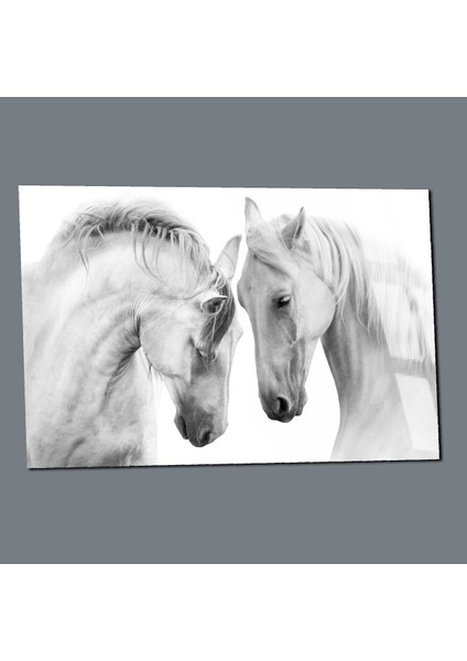 Kırılmaz Cam (Temperli) Beyaz Atlar Tablosu 01 modelleri