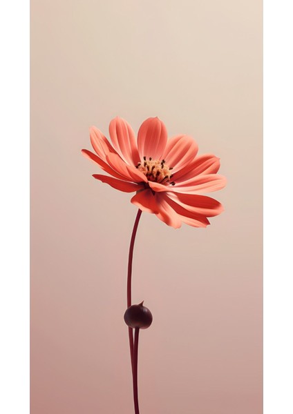 Soft Kırmızı Çiçekler Kombini Çerçeveli Cam Tablo 2'li fiyatları