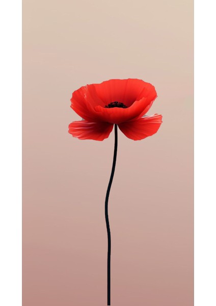 Soft Kırmızı Çiçekler Kombini Çerçeveli Cam Tablo 2'li modelleri