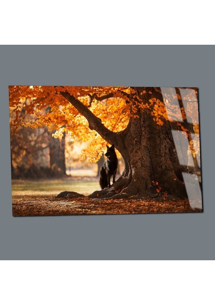 Kırılmaz Cam (Temperli) Sonbahar Doğa Manzaratablosu 06 modelleri