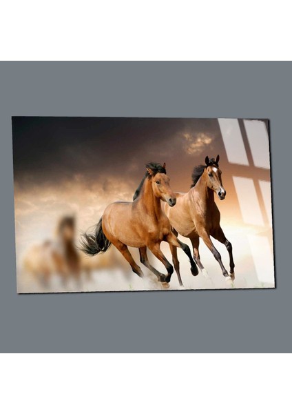 Kırılmaz Cam (Temperli) Kahverengi Atlar Tablosu 06 modelleri