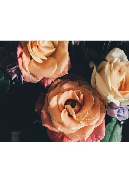 Turuncu Mavi Siyahsoyut Abstract Gül Kombini Çerçeveli Temperli Cam Tablo 3'lü fiyatları