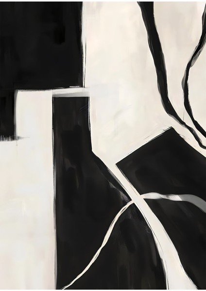 Siyah Beyaz Ikea Soyut Abstract Kombini Çerçeveli Temperli Cam Tablo 3'lü