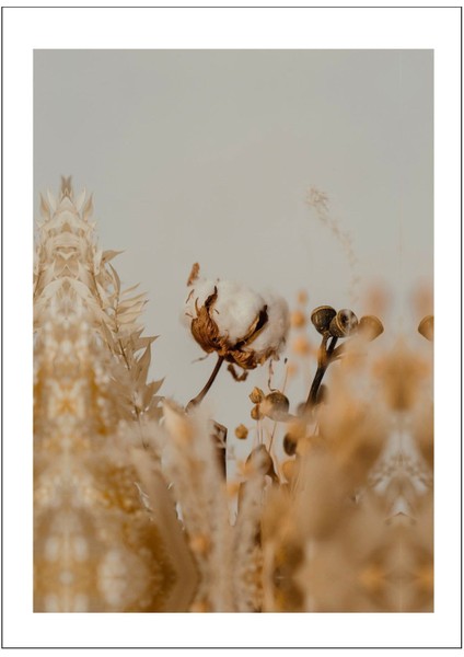 Soft Renk Çiçek Kombini Beyaz Krem Çerçeveli Cam Tablo 3'lü modelleri