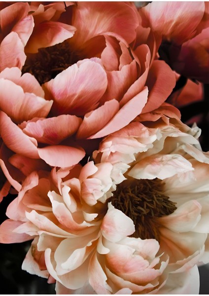 Gold Pembe Gül Tüy Kombini Çerçeveli Temperli Cam Tablo 3'lü fiyatları