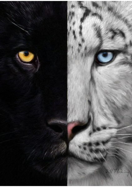 Aslan Kaplan Leopar Tablosu 04 Çerçeveli Temperli Cam Tablo 3'lü modelleri