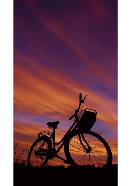 Mor Renk Kombini Yaz Manzarası Deniz Kenarı Çerçeveli Temperli Cam Tablo 3'lü modelleri