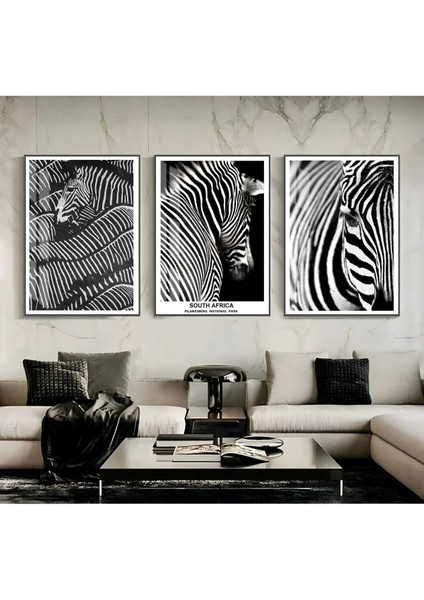 Siyah Beyaz En Şık Zebra Kombini Çerçeveli Temperli Cam Tablo 3'lü