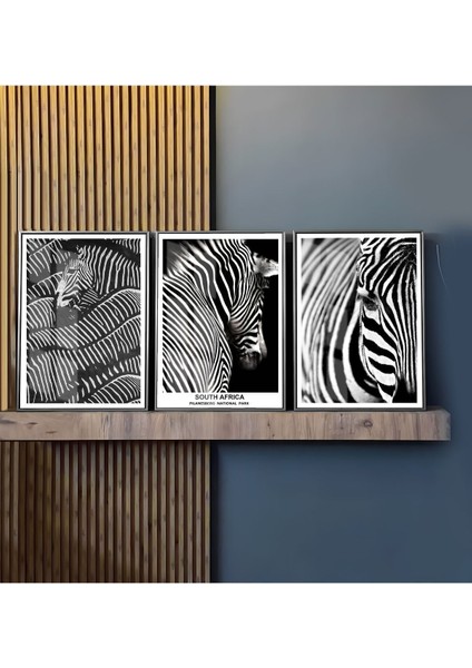 Siyah Beyaz En Şık Zebra Kombini Çerçeveli Temperli Cam Tablo 3'lü