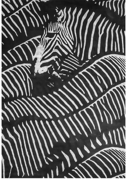 Siyah Beyaz En Şık Zebra Kombini Çerçeveli Temperli Cam Tablo 3'lü
