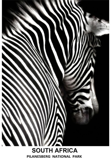 Siyah Beyaz En Şık Zebra Kombini Çerçeveli Temperli Cam Tablo 3'lü