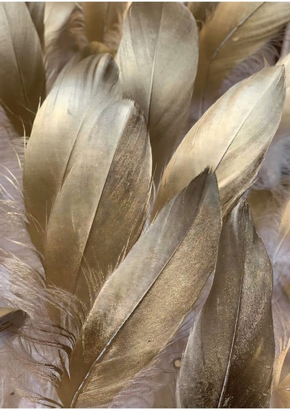 Gold Pembe Gül Tüy Kombini Çerçeveli Temperli Cam Tablo 3'lü fırsatları