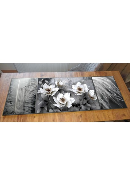 Siyah Beyaz Kombini Çiçek Tüy Kombini Çerçeveli Temperli Cam Tablo 3'lü fiyatları