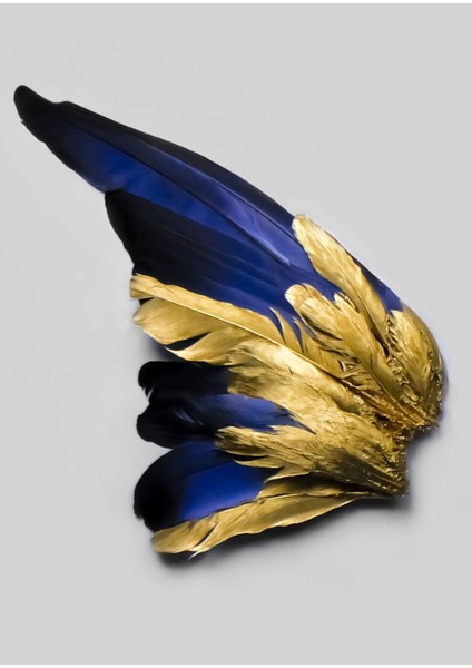 Lacivert Gold Renk Kanat Tüy Kombin 009 Çerçeveli Cam Tablo Temperli 3'lü fiyatları