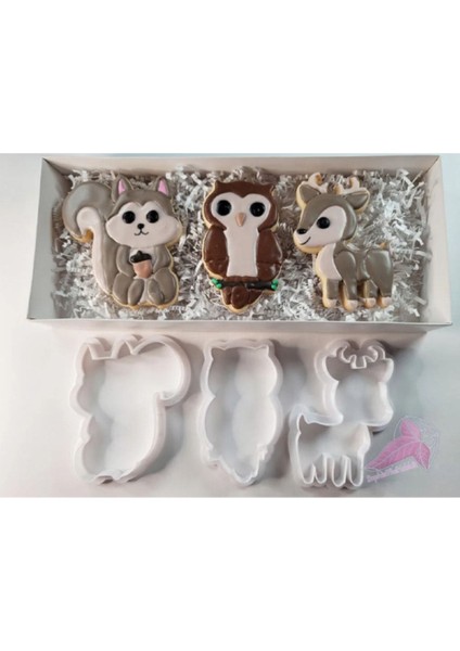 Baby Shower Temalı Kalıp Seti - 2 Parça, Plastik, Eğlenceli ve kullanışlı