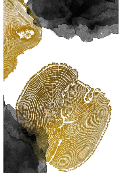 Beyaz Gri Gold Soft Renk Soyut Set Çerçeveli Cam Tablo 3'lü fiyatları