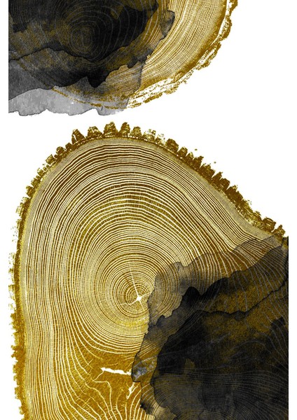 Beyaz Gri Gold Soft Renk Soyut Set Çerçeveli Cam Tablo 3'lü fırsatları