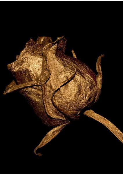 Siyah Gold Renk Gül Seti Çerçeveli Cam Tablo 3'lü fiyatları