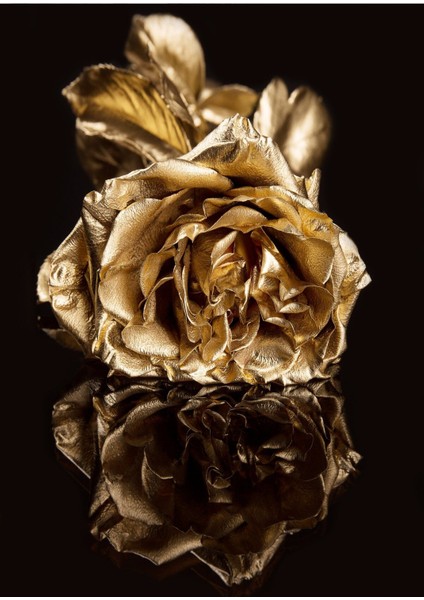 Siyah Gold Renk Gül Seti Çerçeveli Cam Tablo 3'lü modelleri