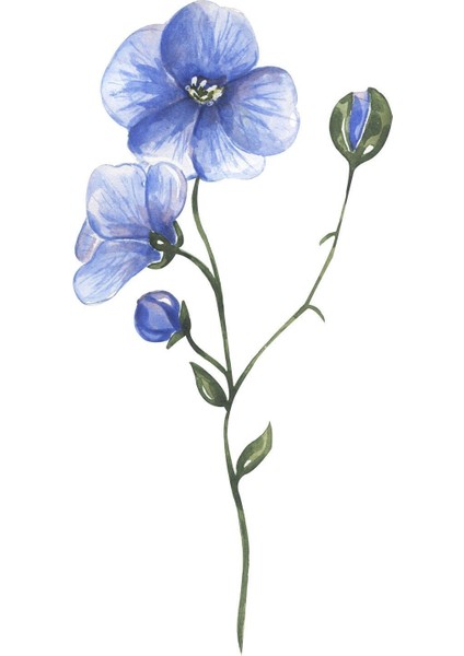 Beyaz Mavi Çiçek Kombini Çerçeveli Cam Tablo 2'li fiyatları