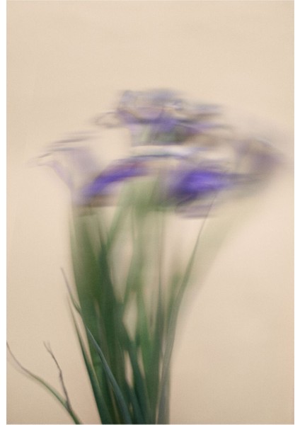 Kırmızı Mor Blurry Çiçek Kombini Çerçeveli Cam Tablo 2'li modelleri