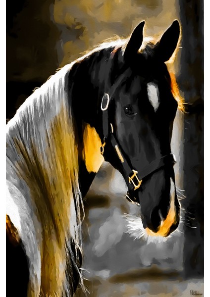 Siyah Gold Soft Renk Soyut At Seti Çerçeveli Cam Tablo 3'lü modelleri