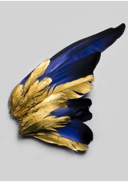 Lacivert Gold Renk Kanat Tüy Kombin 009 Çerçeveli Cam Tablo Temperli 3'lü fırsatları