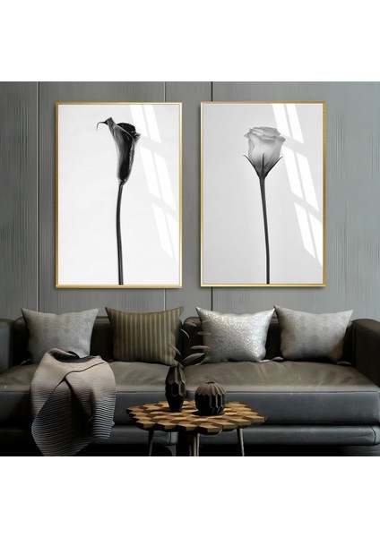 Soft Siyah Beyaz Gül Kombini Çerçeveli Cam Tablo 2'li