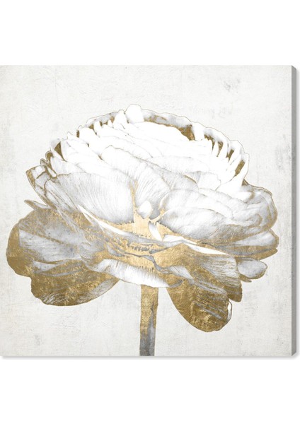 Beyaz Gold Soyut Gül Kombini Çerçeveli Cam Tablo 3'lü fırsatları