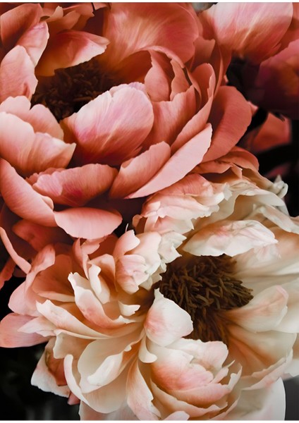 Siyah Gold Renk Soyut Şakayık Ve Yaprak Kombin Çerçeveli Cam Tablo 3'lü modelleri