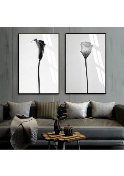 Soft Siyah Beyaz Gül Kombini Çerçeveli Cam Tablo 2'li