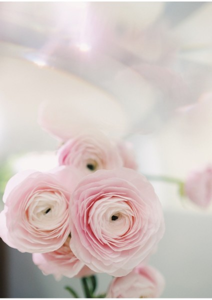 Beyaz Pembe Gül Kombini Çerçeveli Cam Tablo 3'lü fiyatları