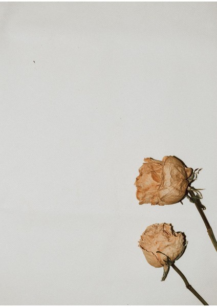 Kuru Gül Kombini Çerçeveli Cam Tablo 2'li fiyatları