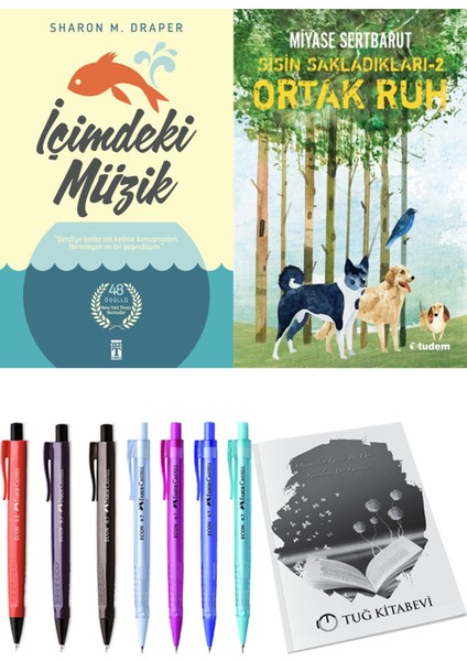 Sisin Sakladıkları 2 Ortak Ruh ve İçimdeki Müzik 2'li Set - Kalem