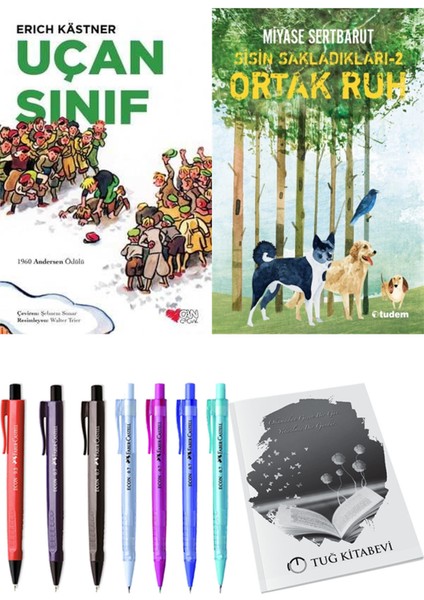 Sisin Sakladıkları 2 Ortak Ruh ve Uçan Sınıf 2li Set