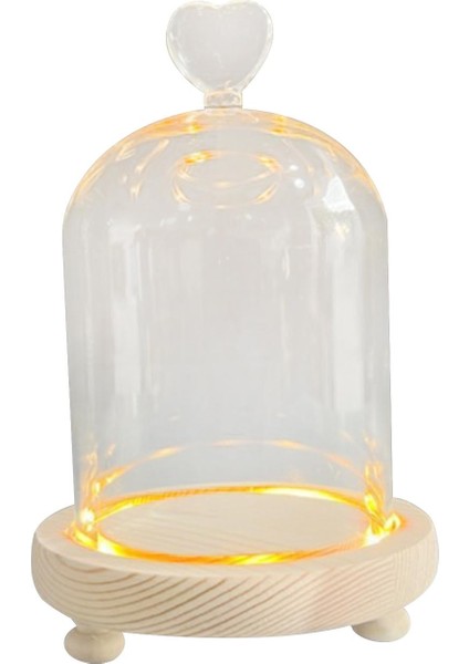 Şeffaf Cam Cloche Dome Cloche Dome Sevgililer Günü Mikro Peyzaj 9X11CM (Yurt Dışından) fiyatları