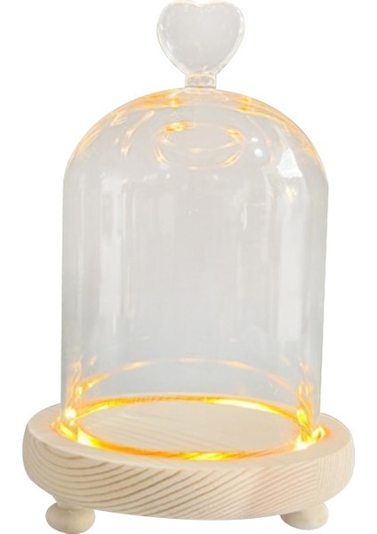 Şeffaf Cam Cloche Dome Cloche Dome Sevgililer Günü Mikro Peyzaj 9X11CM (Yurt Dışından) fırsatları