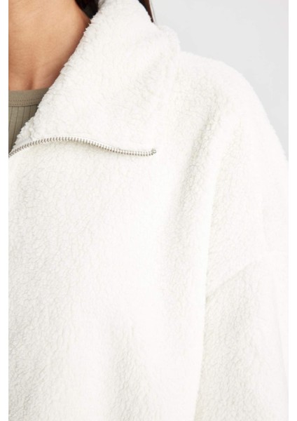 Oversize Geniş Kalıp Polo Yaka Welsoft Pelüş Fermuarlı Hırka C8229AX24WN indirimleri