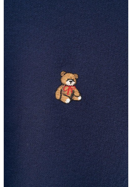 Teddy Nakışlı Basic Triko