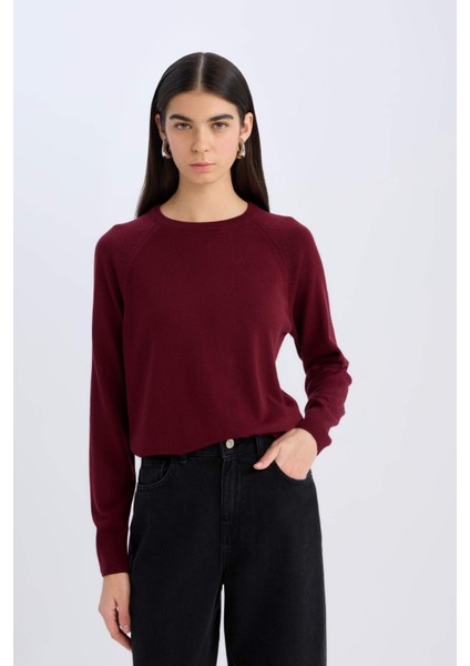 Regular Fit Yumuşak Dokulu Bisiklet Yaka Basic Düz Triko Kazak I6913AZ24WN