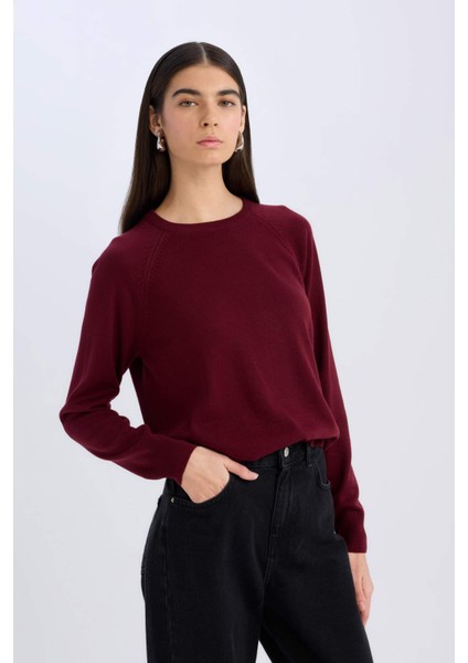 Regular Fit Yumuşak Dokulu Bisiklet Yaka Basic Düz Triko Kazak I6913AZ24WN modelleri