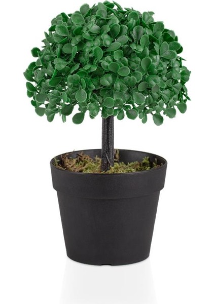 3'lü Set Mini Siyah Plastik Saksıda Yapay Yonca Ağacı