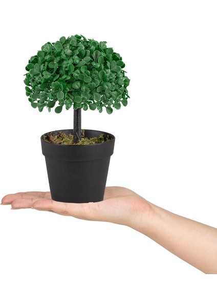 3'lü Set Mini Siyah Plastik Saksıda Yapay Yonca Ağacı