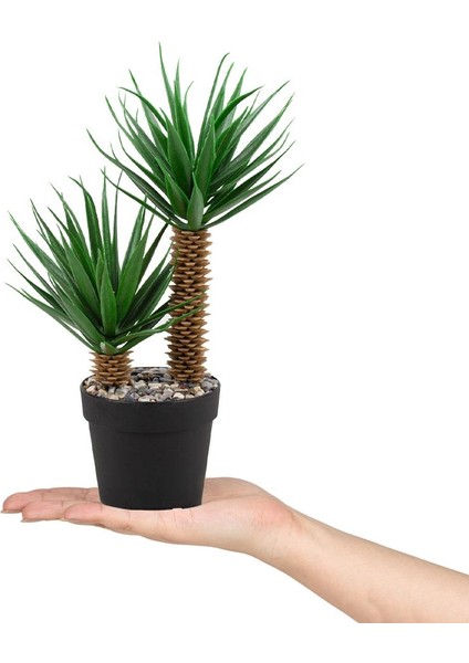 Mini Siyah Plastik Saksıda Iki Dal Yapay Kaktüs Aloevera