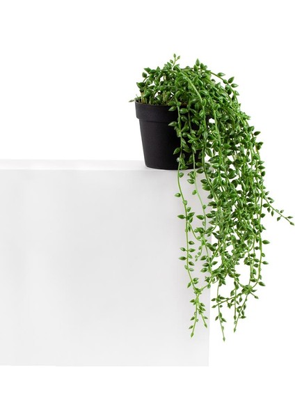3’lü Set Mini Siyah Plastik Saksıda Sarkan Boncuk Yeşillik