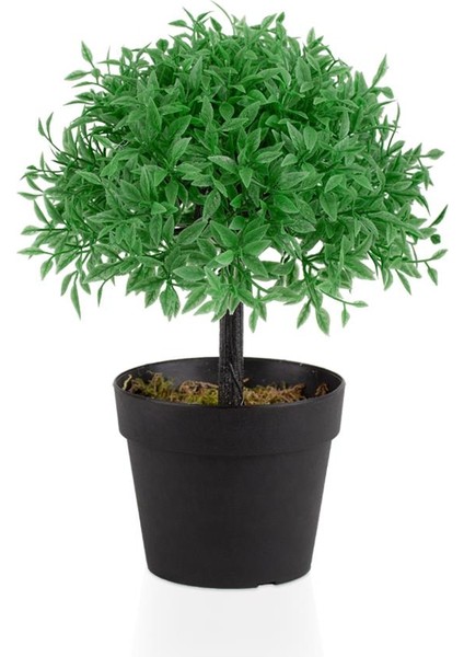 Mini Siyah Plastik Saksıda Yapay Fesleğen Ağacı