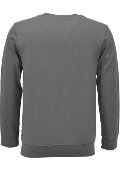 Erkek Spor Mevsimlik Sıfır Yaka Sweatshirt BGL-ST03934