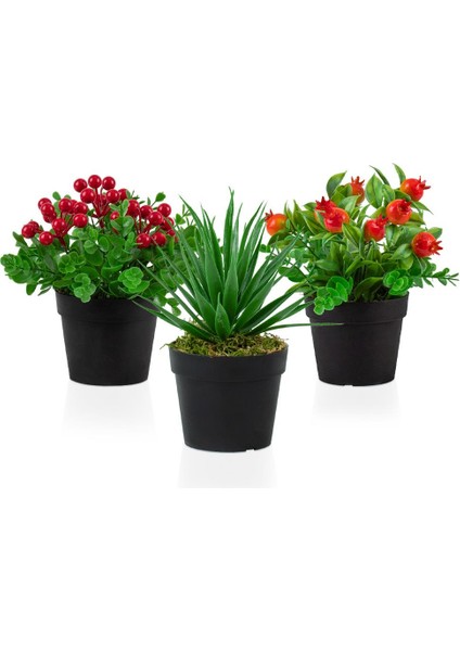 3’lü Set Siyah Mini Plastik Saksıda Yapay Kokina, Aloe Vera ve Nar Çiçeği