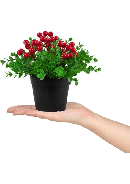 3’lü Set Siyah Mini Plastik Saksıda Yapay Kokina, Aloe Vera ve Nar Çiçeği