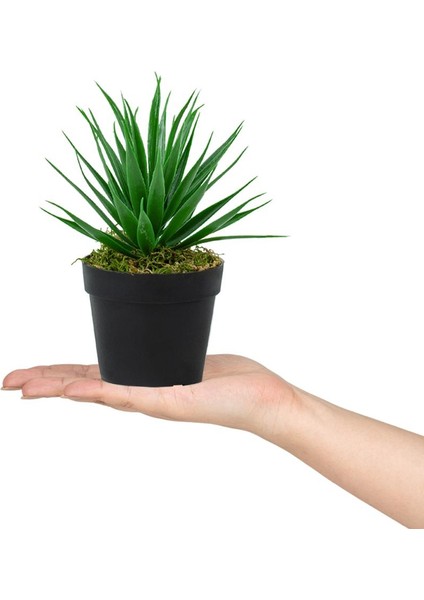 3’lü Set Siyah Mini Plastik Saksıda Yapay Kokina, Aloe Vera ve Nar Çiçeği